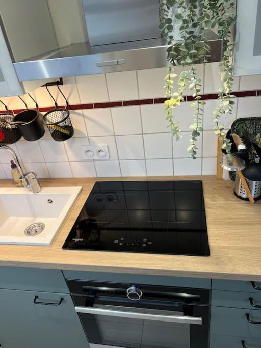 Adorable Appartement Strasbourg Neudorf Parking Sous Sol Exterior foto